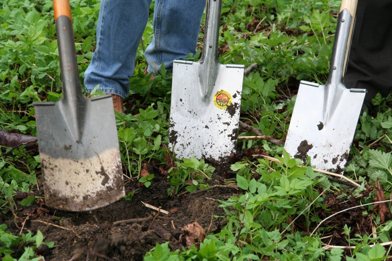 pepiniere-RIANS-min_work-lawn-flower-tool-green-backyard-1103633-pxhere.com